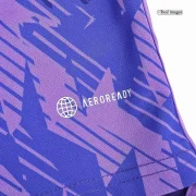 Argentina Three Stars Away Soccer Jersey World Cup 2022 - Image 11